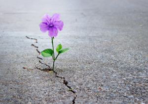 beb magazine (A4 (orizzontale)) beb magazine (A4 (orizzontale))